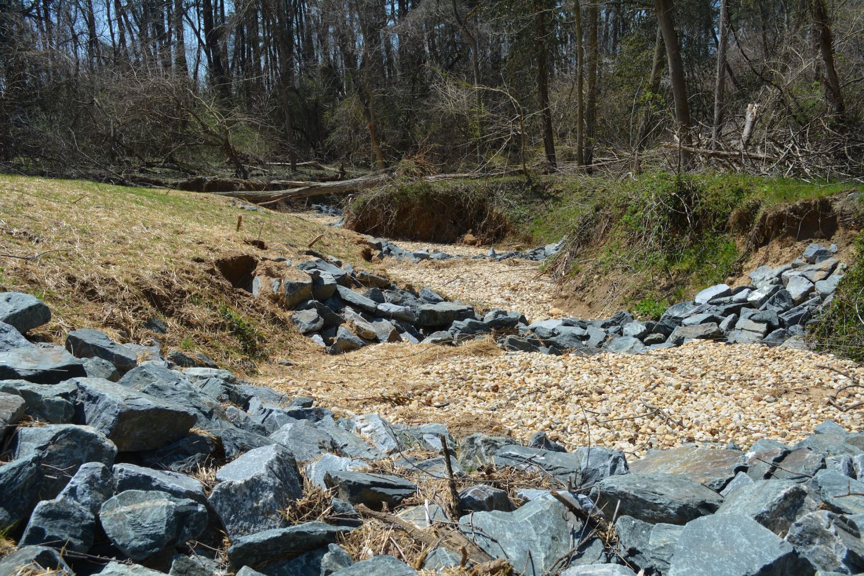 ShoreRivers offers look at stream restoration projects